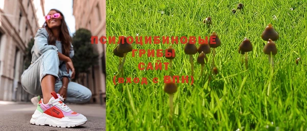 дурь Майский