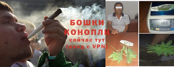 винт Магас
