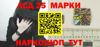 прущие грибы Будённовск