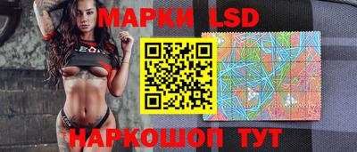 прущие грибы Будённовск