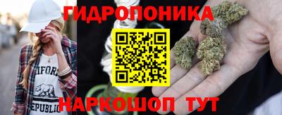 прущие грибы Будённовск