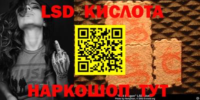 прущие грибы Абинск