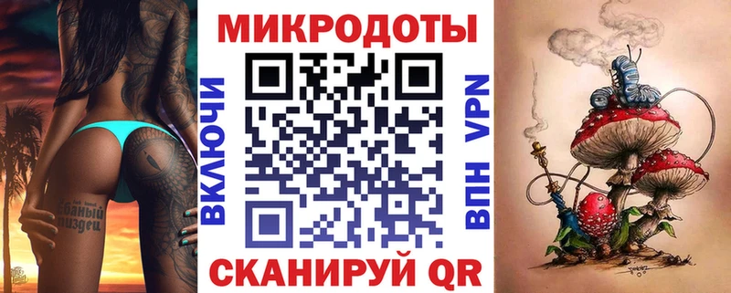 купить наркоту  Камень-на-Оби  Галлюциногенные грибы MAGIC MUSHROOMS 