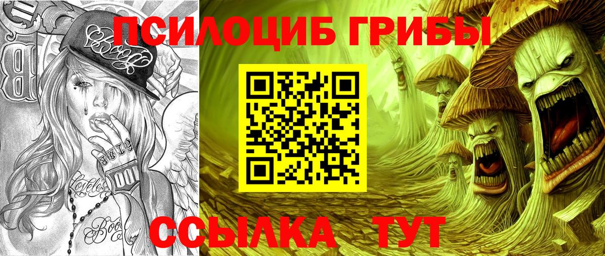 Псилоцибиновые грибы прущие грибы Камень-на-Оби