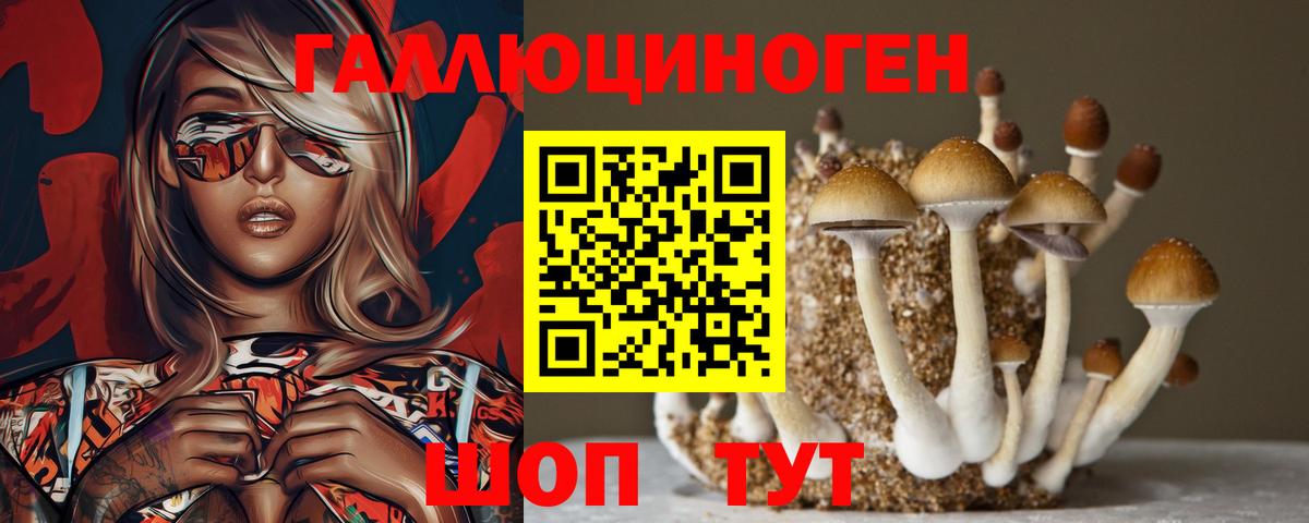 Камень-на-Оби  Псилоцибиновые грибы прущие грибы  Вход с VPN 